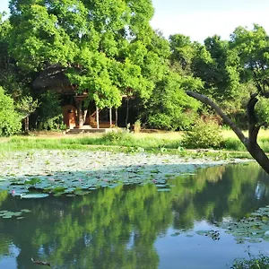 Lodge Back Of Beyond - Wild Haven Sigirîya